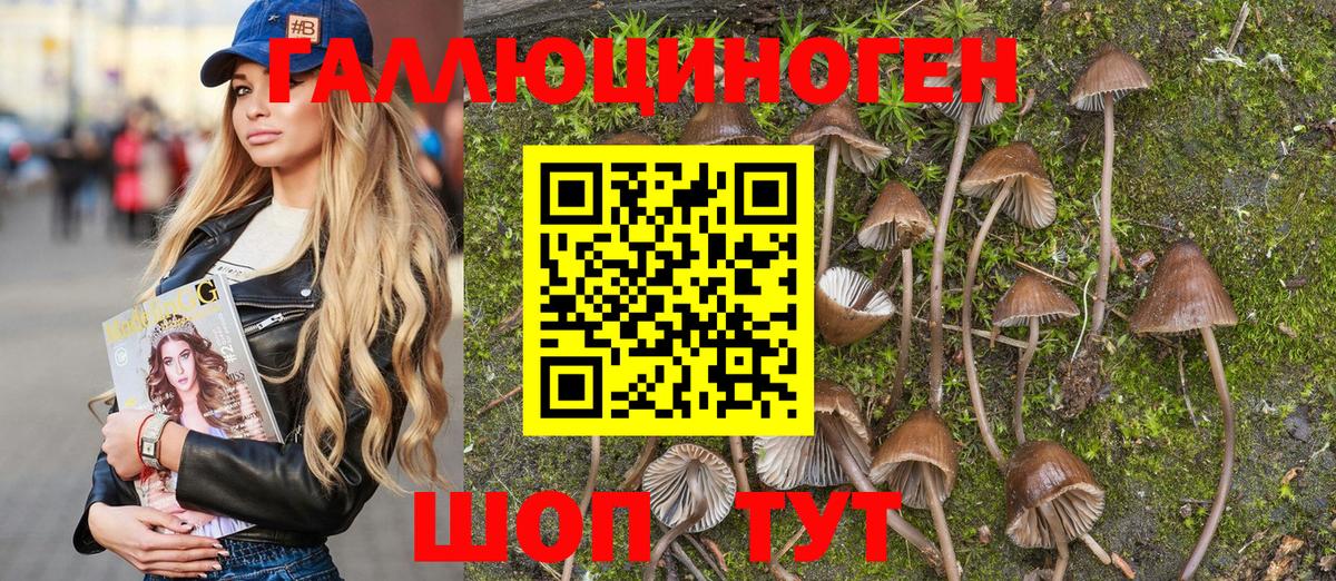 Озёры  Псилоцибиновые грибы ЛСД  Галлюциногенные грибы Psilocybine cubensis  Вход с VPN 