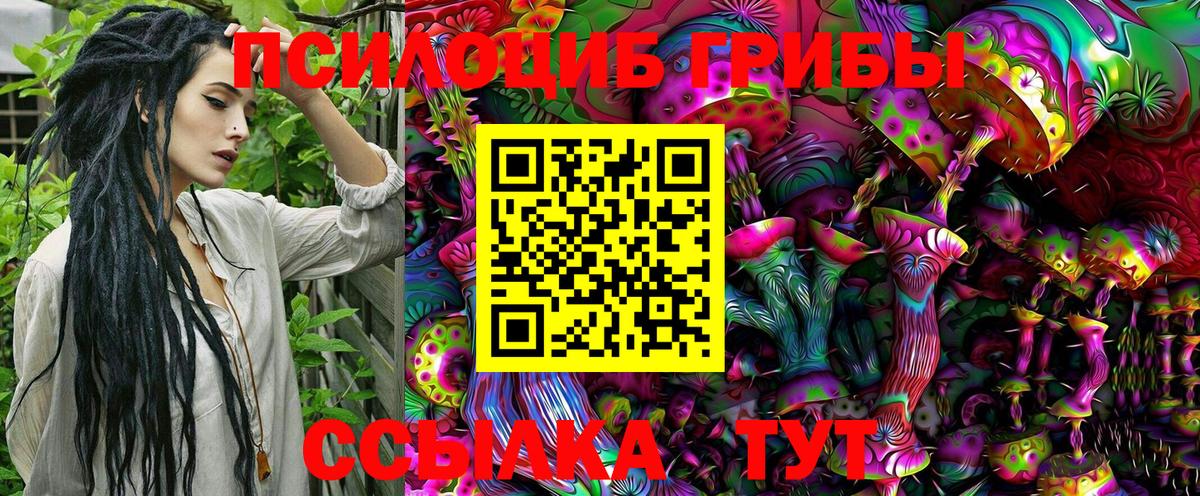 Галлюциногенные грибы Psilocybe Озёры