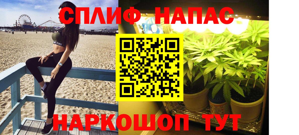 Канабис ГИДРОПОН Озёры